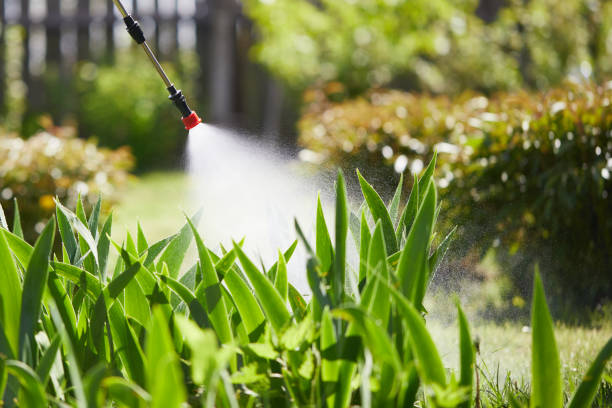 24/7 Emergency Mosquito Control experts in Gulf Breeze, FL